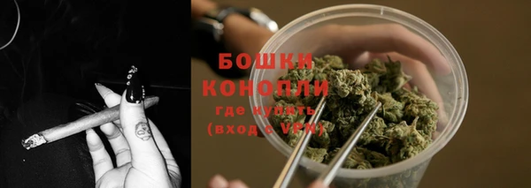 бутират Бикин
