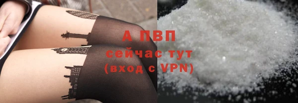соль ск Горно-Алтайск