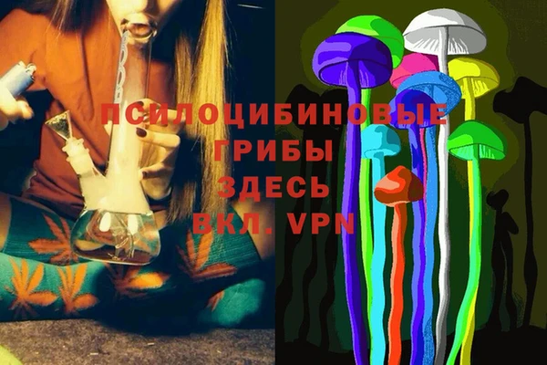 mdma Горняк