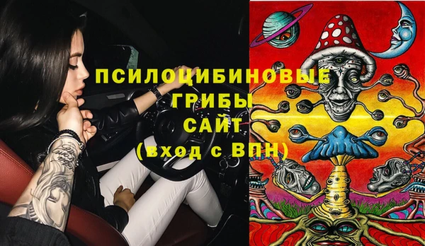 соль ск Горно-Алтайск
