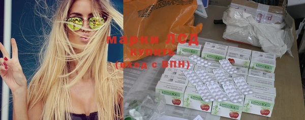 каннабис Болотное