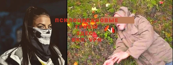 ALPHA PVP Болхов