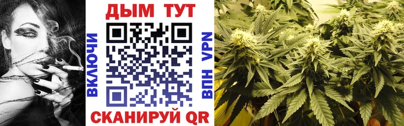 цены   Гуково  Конопля White Widow 